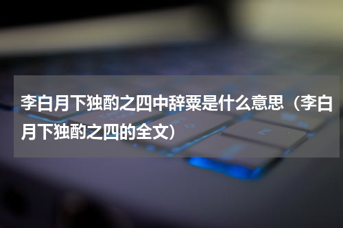 李白月下独酌之四中辞粟是什么意思（李白月下独酌之四的全文）