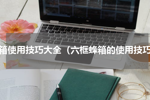 蜂箱使用技巧大全（六框蜂箱的使用技巧）