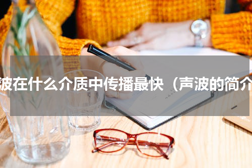 声波在什么介质中传播最快（声波的简介）