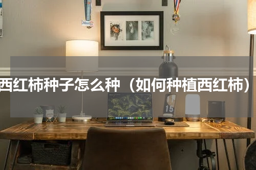 西红柿种子怎么种（如何种植西红柿）