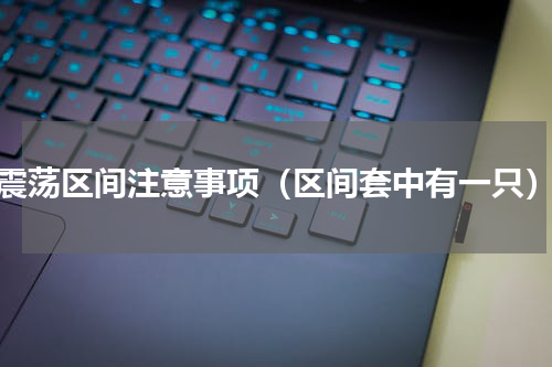 震荡区间注意事项（区间套中有一只）