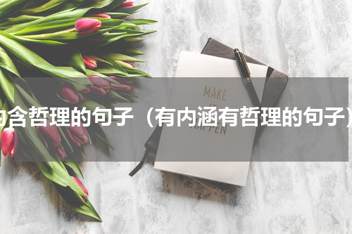 内含哲理的句子（有内涵有哲理的句子）