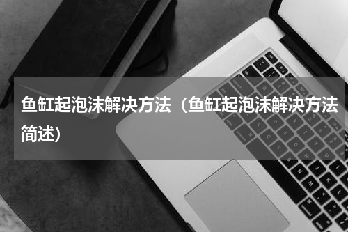 鱼缸起泡沫解决方法（鱼缸起泡沫解决方法简述）