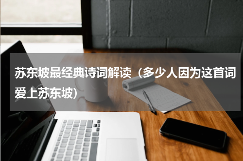 苏东坡最经典诗词解读（多少人因为这首词爱上苏东坡）