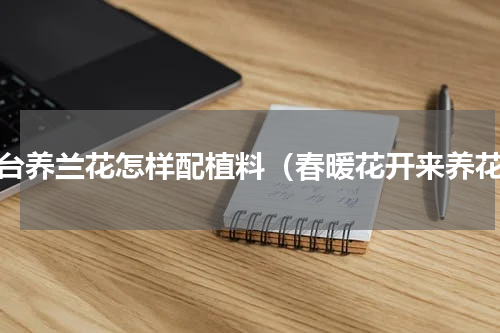 阳台养兰花怎样配植料（春暖花开来养花）