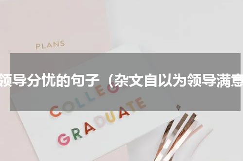 替领导分忧的句子（杂文自以为领导满意）