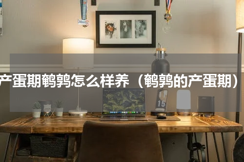 产蛋期鹌鹑怎么样养（鹌鹑的产蛋期）