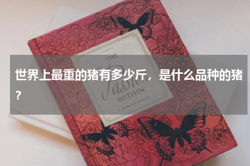 世界上最重的猪有多少斤，是什么品种的猪？