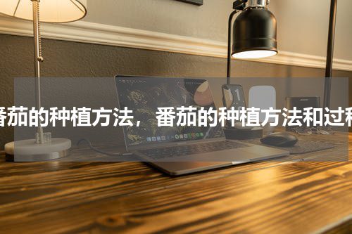 番茄的种植方法，番茄的种植方法和过程