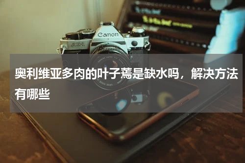 奥利维亚多肉的叶子蔫是缺水吗，解决方法有哪些